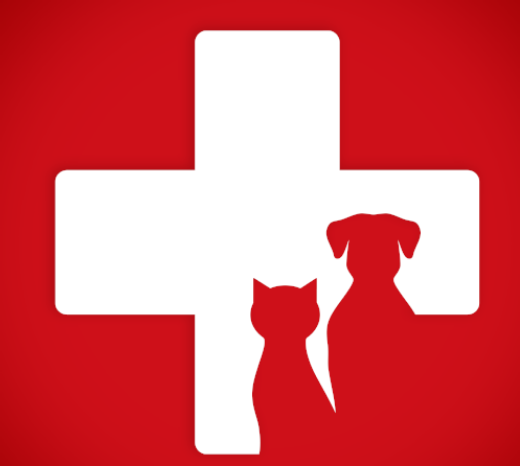 Picture for category First Aid Supplies